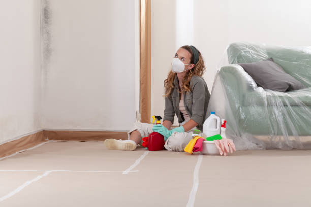 Reliable Mold Inspection And Testing contractor in Clearwater, MN by 24 Hour Mold Removal